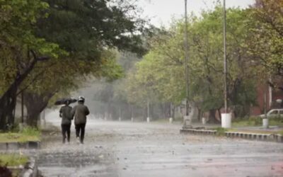 Punjab Weather Update IMD Issues Orange Alert in Punjab and Haryana