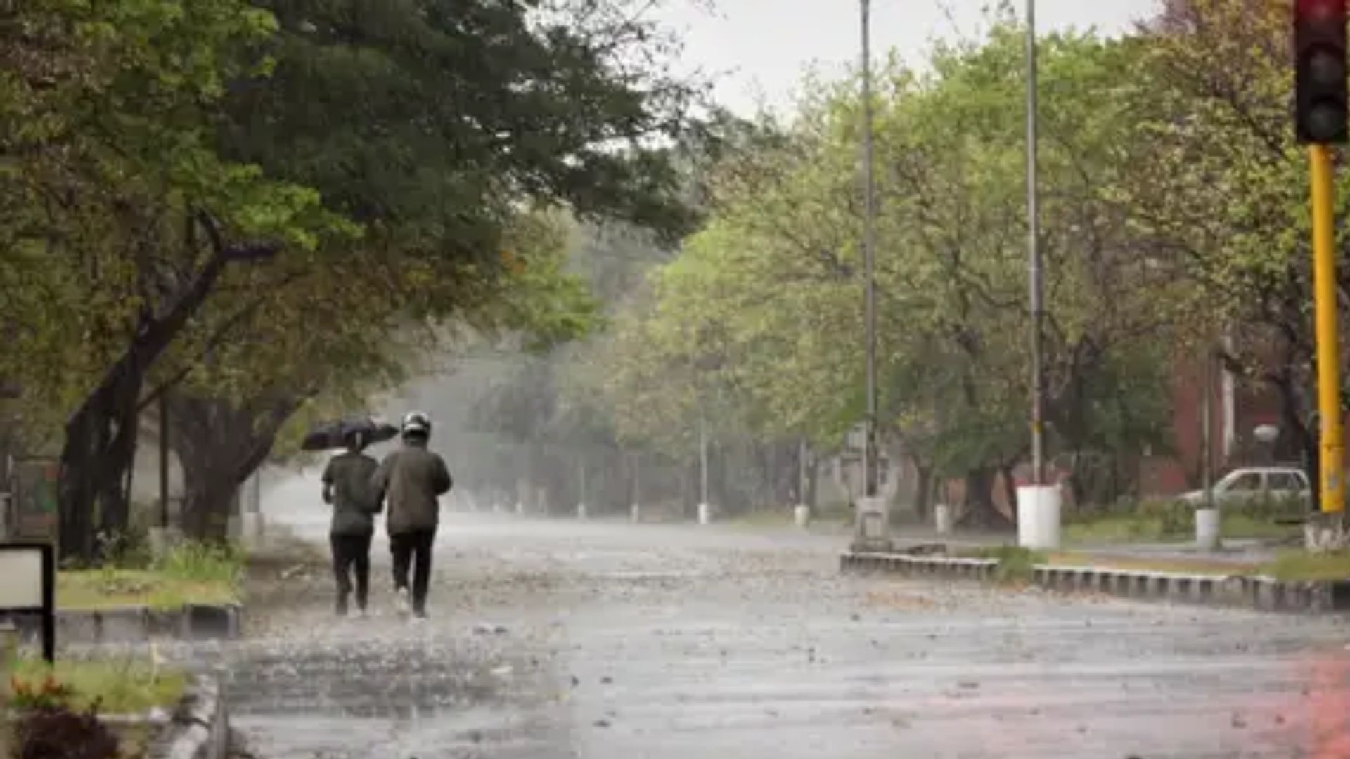 Punjab Weather Update IMD Issues Orange Alert in Punjab and Haryana