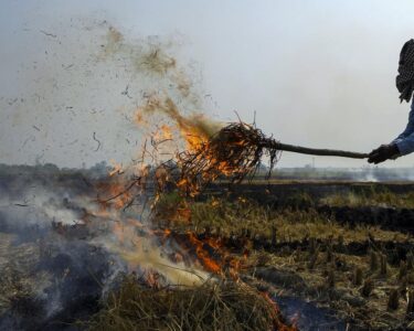 Stubble Burning