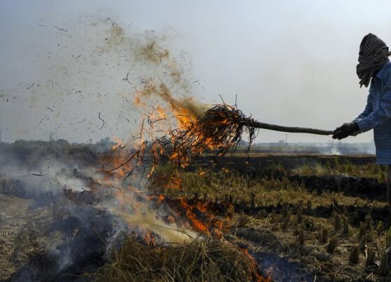 Stubble Burning