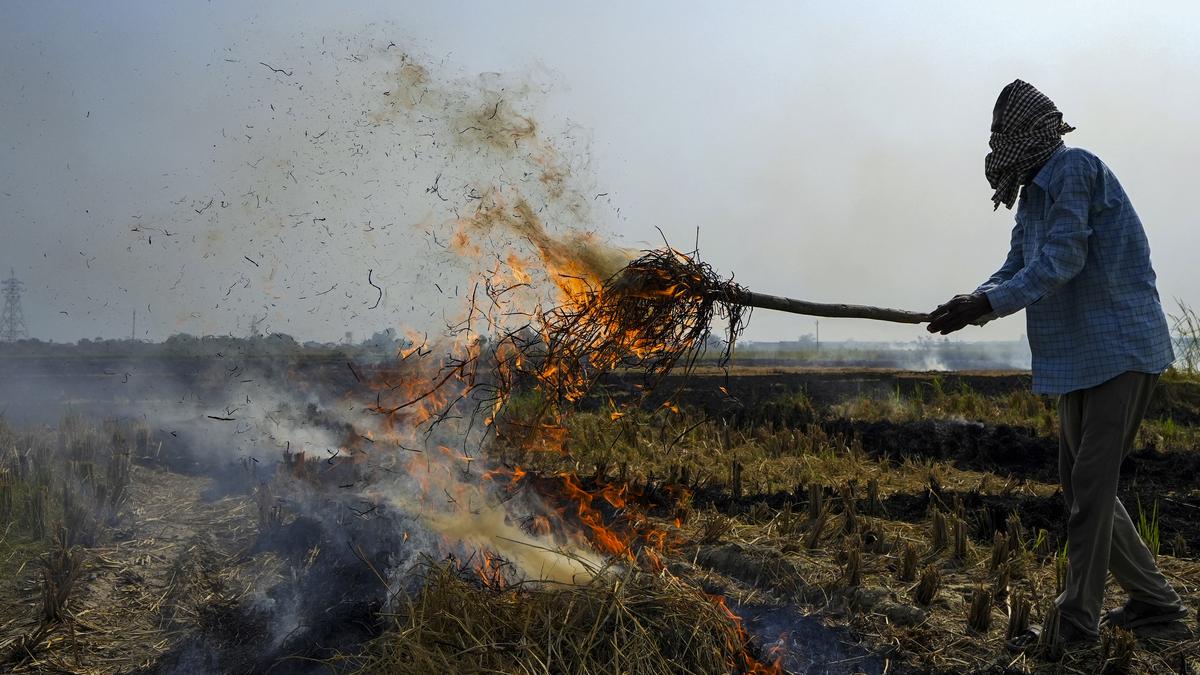 Punjab Records Spike in Stubble Burning as Temperatures Climb; Amritsar Leads Offense